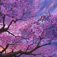 微信紫色的头像