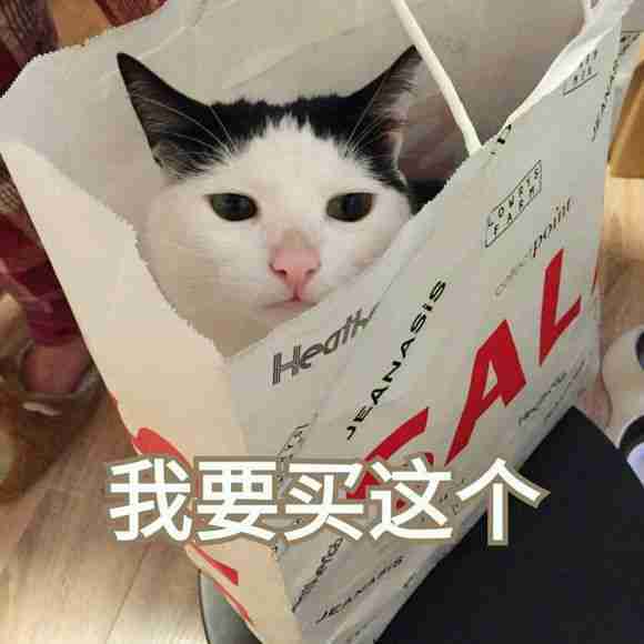 求老公给买东西的小猫咪头像 找男朋友买东西表