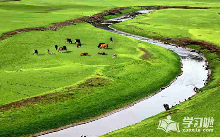 草原马的图片大全大图 图片头像唯美风景加人