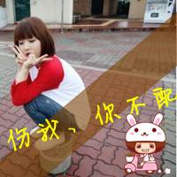 伤我、你不配