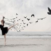 微信头像芭蕾黑白 芭蕾黑白头像