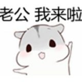 可爱猴子 情侣头像_对老公，要好一点