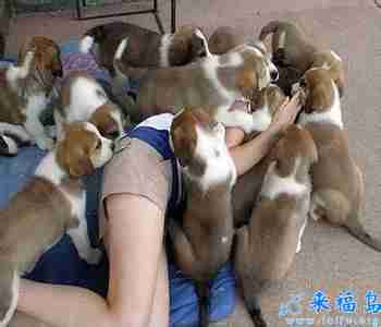 爱拍jpg屌丝头像 jpg头像