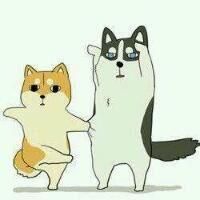 2017最新可爱的卡通情侣头像