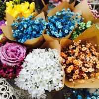 很多漂亮的花儿微信头像 很多漂亮的花儿微信头像