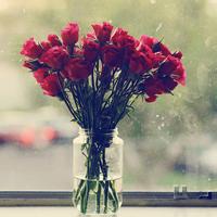 玫瑰个性头像 个性头像