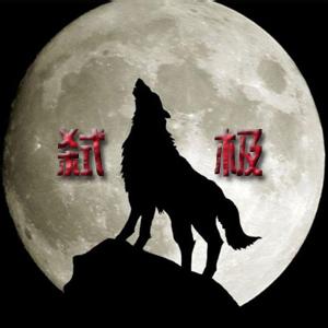 动物狼头像 动物头像
