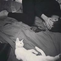 黑白另类的男生微信头像