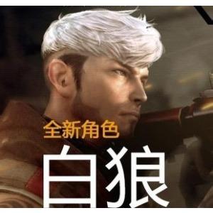 微信头像穿越火线白狼 穿越火线微信头像