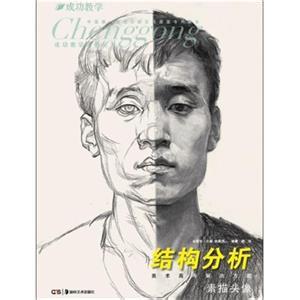 结构头像 素描结构头像