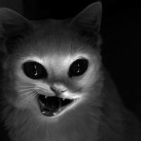 微信头像发恐怖 微信恐怖头像