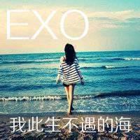 exo 大头像 exo金钟大头像