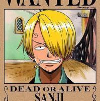 海贼王通缉令头像 