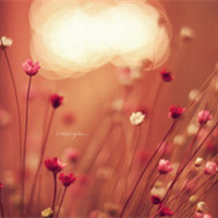 色彩淡淡的就很好 超棒的小清新碎花头像