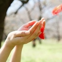  唯美简约个性的手部的头像