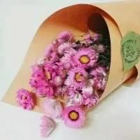 好看的花儿的简约头像