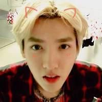 个性的帅气EXO头像