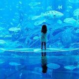 平刘海女生头像 我曾养了一池心事 只有你 能吹 平刘海女生头像 我曾养了一池心事 只有你 能吹