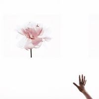 简约的的个性微信头像