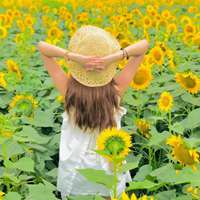 中系女生头像 向日葵开过旧夏天