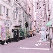 小清新意境头像精选十六张