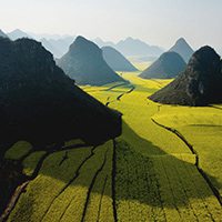 绿茫茫美景