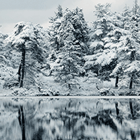 布满雪的风景