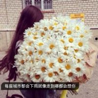 简单带字的女生头像伤感 可你还是不爱我