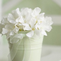 盛开的花朵 盛开的花朵