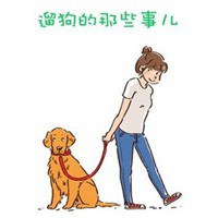 金毛犬情侣头像说你爱我 我说不出口