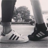 朝花惜时情侣头像我就是要和你99 朝花惜时情侣头像我就是要和你99