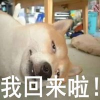 恶搞夏日高温图片搞笑大全 出门前VS出门后再真