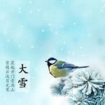 关于大雪的唯美图片大全 雪晴云淡日光寒