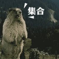 土拨鼠的呐喊带字表情包 来自土拨鼠的咆哮 土拨鼠的呐喊带字表情包 来自土拨鼠的咆哮