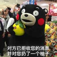 熊本熊聊天文字搞笑表情包 对方已拒收您的消息
