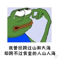 sad frog绿色青蛙恶搞聊天表情 用一句话来形容学