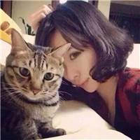 谁说女人不能养猫 可爱萌猫咪女头