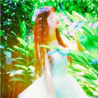 看精灵在森林里歌唱 梦幻唯美森系