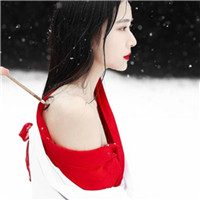 我这辈子要做个淑女 气质唯美古