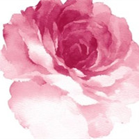 花花世界 好好过 干净的语言安静