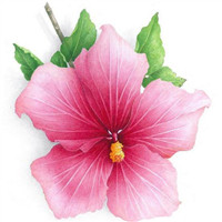 生命是一场声势浩荡的人海拾荒