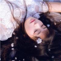 花瓣散落为你添上怎样的思绪 唯