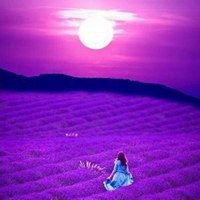 海裡薰衣草香正浓微信女生头像