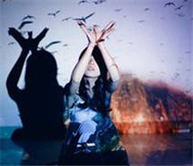 恍然，如错过的花开