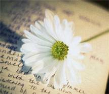 陌上花开，缓缓归矣