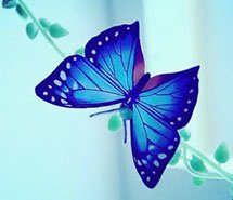 非主流头像微信唯美个性蝴蝶伤感头像