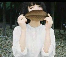 你在我身旁终于不再流浪 个性手机壁纸图片