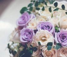养眼的梦幻清新浪漫鲜花壁纸大全