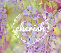 浪漫清新紫藤花手机壁纸