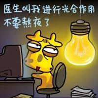 我不熬夜了，漂亮比你重要  回头率超高的时尚大